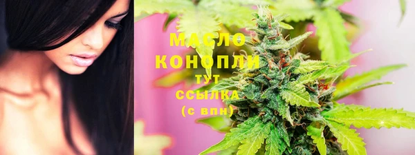 индика Бронницы