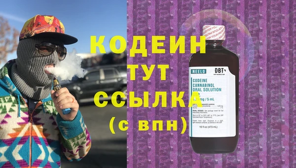 индика Бронницы