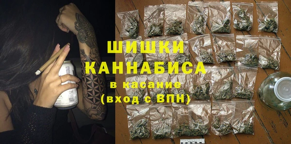 прущий лед Бородино