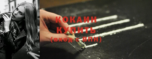 прущий лед Бородино