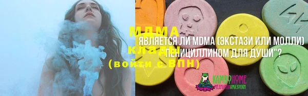 индика Бронницы