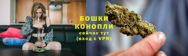 индика Бронницы