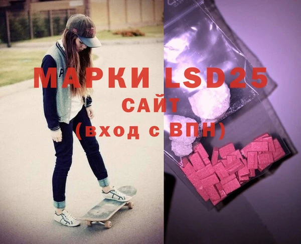 индика Бронницы