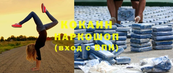 прущий лед Бородино