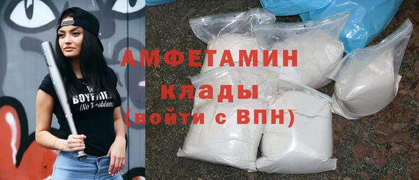 индика Бронницы