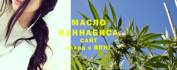 прущий лед Бородино