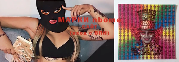 индика Бронницы