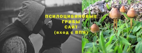 индика Бронницы
