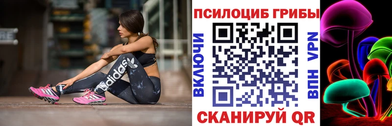 купить наркотик  Арзамас  OMG зеркало  Псилоцибиновые грибы MAGIC MUSHROOMS 